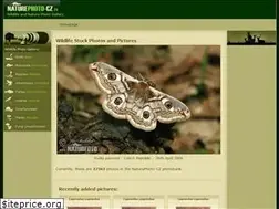 Sites similar to naturephoto-cz.eu