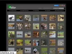 Sites similar to naturephoto.lt