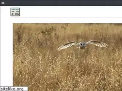 Sites similar to naturephotoblog.com