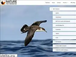 Sites similar to naturephotographers.co.uk