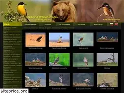 Sites similar to naturephotos.eu