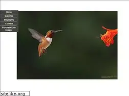 Sites similar to naturepixels.com