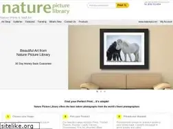 Sites similar to natureplprints.com