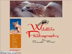 Sites similar to naturesbeautyphotography.com