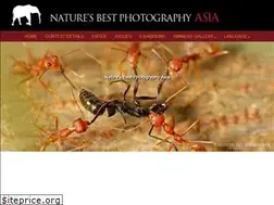 Sites similar to naturesbestphotography.asia