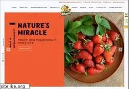 Sites similar to naturesmiracle.in
