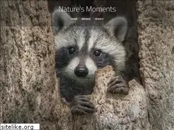Sites similar to naturesmoments.com