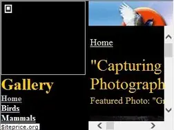 Sites similar to naturespiritproductions.com