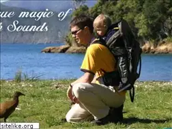 Sites similar to naturetours.co.nz