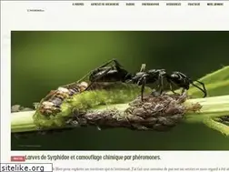 Sites similar to natureweb.com