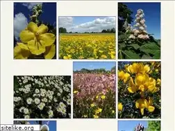 Sites similar to naturfotoportal.de