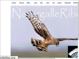 Sites similar to naturgalleribe.dk