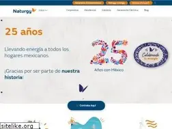 Sites similar to naturgy.com.mx