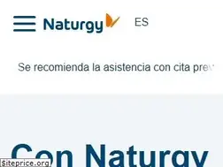 Sites similar to naturgy.es