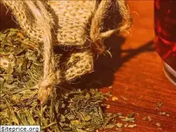 Sites similar to naturheilkunde-leben.de