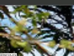 Sites similar to naturotel.com