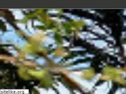 Sites similar to naturotel.fr