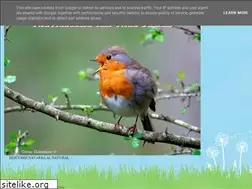 Sites similar to navarranatural.blogspot.com