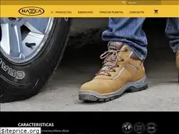 Sites similar to nazcaseguridad.cl