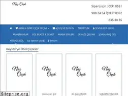 Sites similar to nazcicekcilik.com