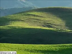 Sites similar to nccsda.com
