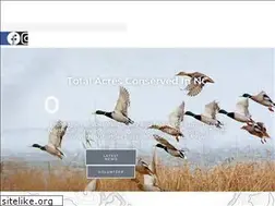 Sites similar to ncducks.org