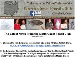 Sites similar to ncfclub.org