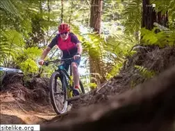 Sites similar to nduro.co.nz