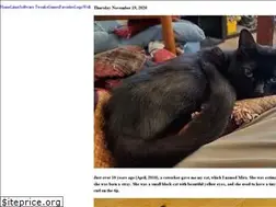 Sites similar to neamerjell.com