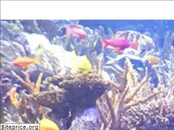 Sites similar to neaq.org