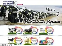 Sites similar to neba.com.tr
