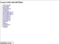 Sites similar to necipfazil.weebly.com