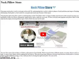 Sites similar to neckpillowstore.com