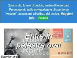 Sites similar to necsi.it