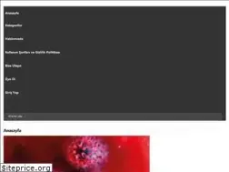 Sites similar to nedirnedemeknasil.com
