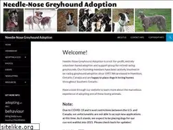 Sites similar to needlenose.ca