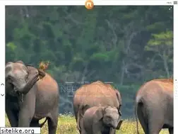Sites similar to neelakandan.com