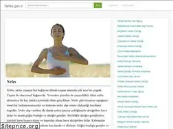Sites similar to nefes.gen.tr