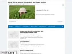 Sites similar to neguzelsozler.blogspot.com