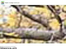Sites similar to neighborhoodopportunityfund.com