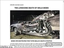 Sites similar to neiliabiden.com