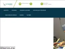 Sites similar to nejatgulgor.com