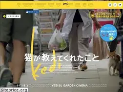 Sites similar to neko-eiga.com
