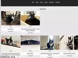 Sites similar to neko-taiyo.com