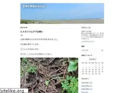 Sites similar to nekoton.com