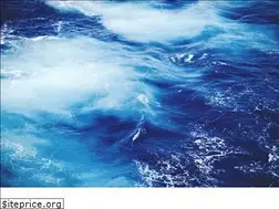 Sites similar to nektoncruises.com