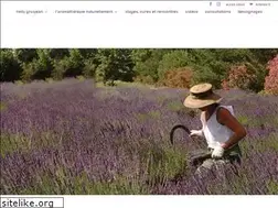 Sites similar to nellygrosjean.com