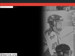 Sites similar to nelsonhockey.org