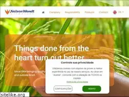 Sites similar to nelsonwendt.com.br