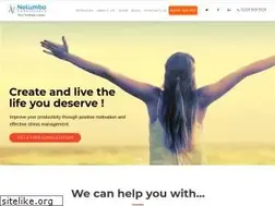 Sites similar to nelumboconsultancy.com